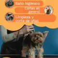Avatar de Mimados